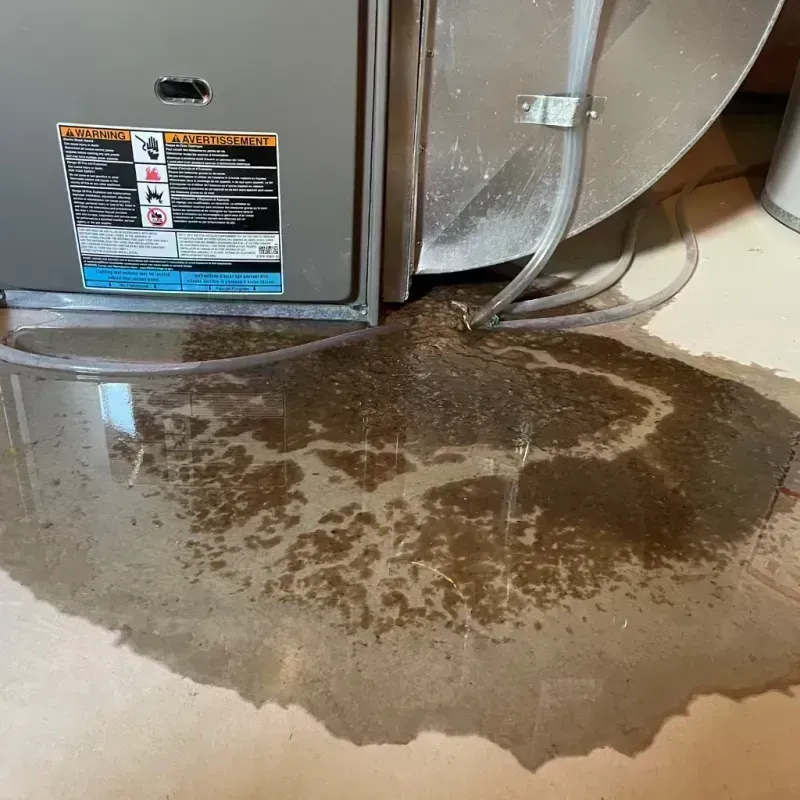 Appliance Leak Cleanup in Buhler, KS